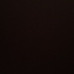 Meet your Posher, Bella